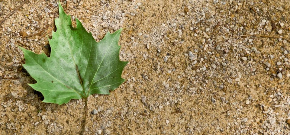 Nuestra meta: crear entornos que faciliten la vida de las personas.