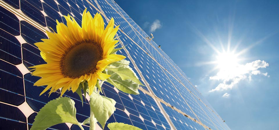 Desarrollamos soluciones a la medida de cada profesional.